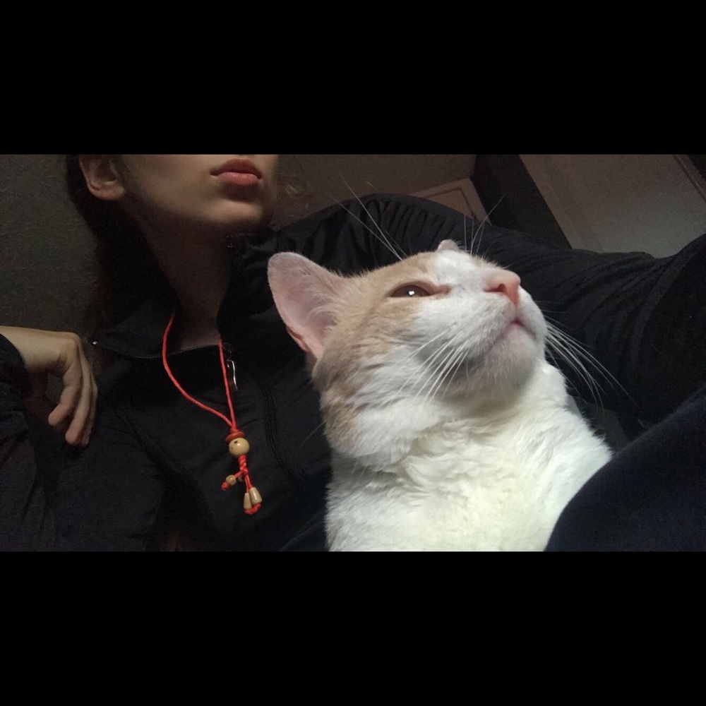 Meet your Posher, Skyelar